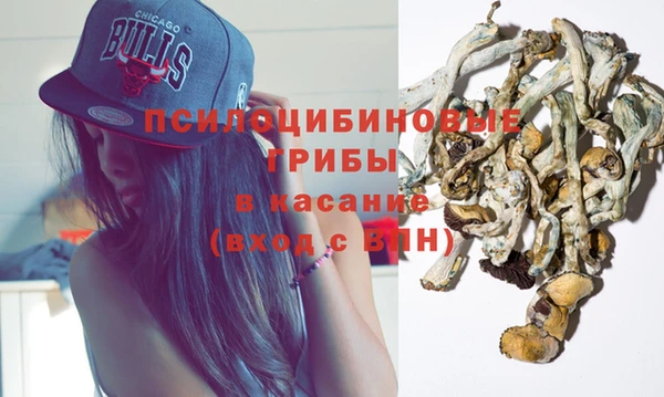 молекула духа Балахна